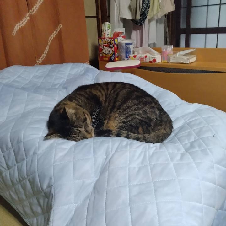 6379cb5f ca6c 4214 a63d 2ab72d93ad54 1712650026666