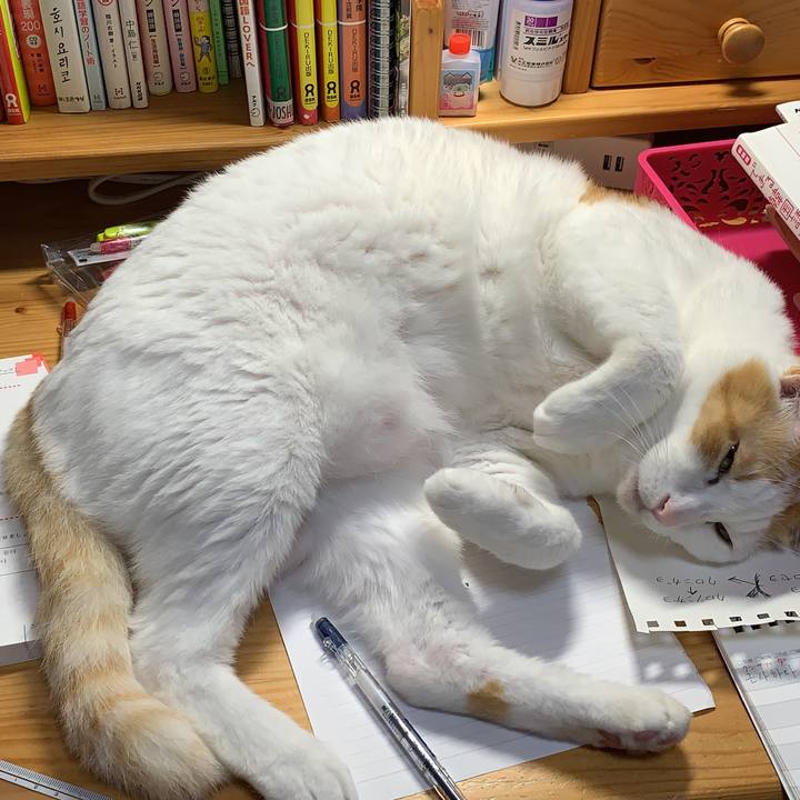 6379d61f d5eb 4903 b268 14fe2ee39187 1633549391374