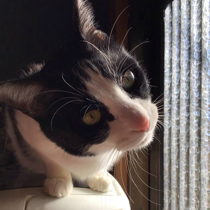 6379e5e1 cab0 482d b588 9e7a08085886 1736308132666