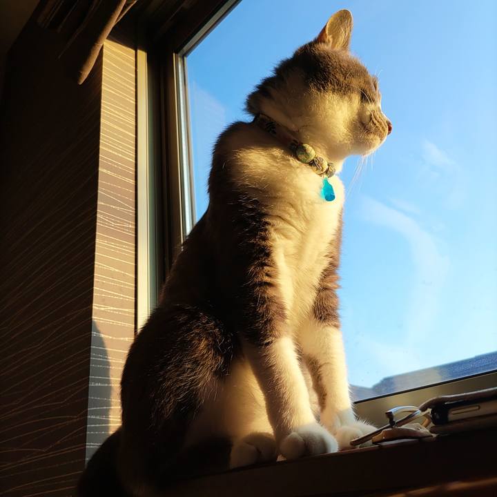 637a11d3 f144 4640 8f9b a385a4206104 1689025641708