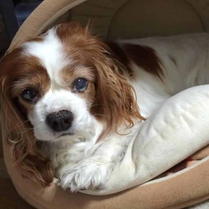 637a15d6 5d94 4d71 a7a4 ec6b6c027d56 1515819226660