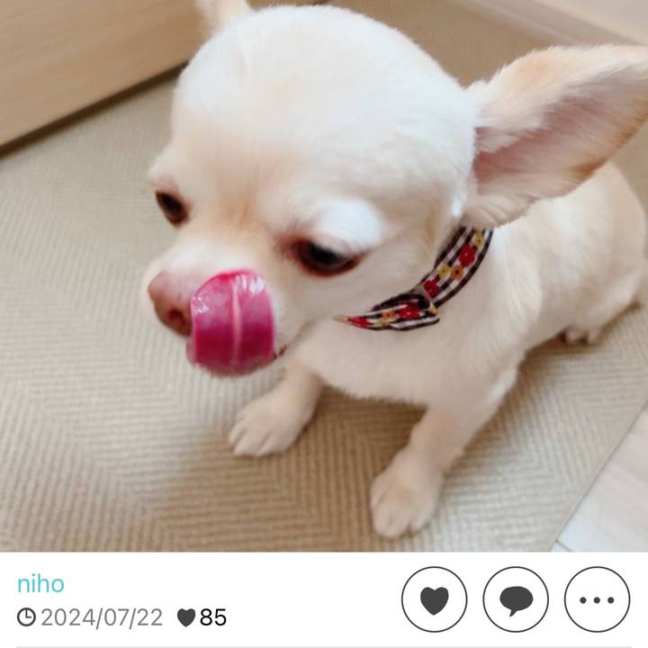 637a184f 15c1 40c1 aa66 703a322c9526 1753151358672