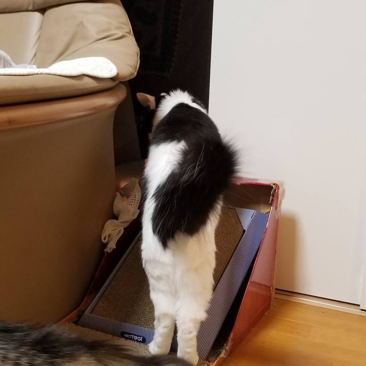 637a5ce0 63ab 4806 83b2 3d84382bceb9 1573043126068