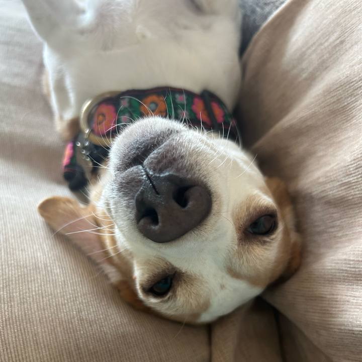 637a6fcb ffc8 4bf8 962b 7c6f6bb1a3c8 1754315933060