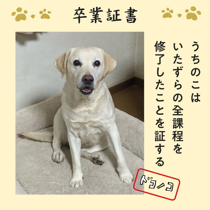 637a74bd b5cb 432e 84f2 f8e4d9fe938e 1772166721589