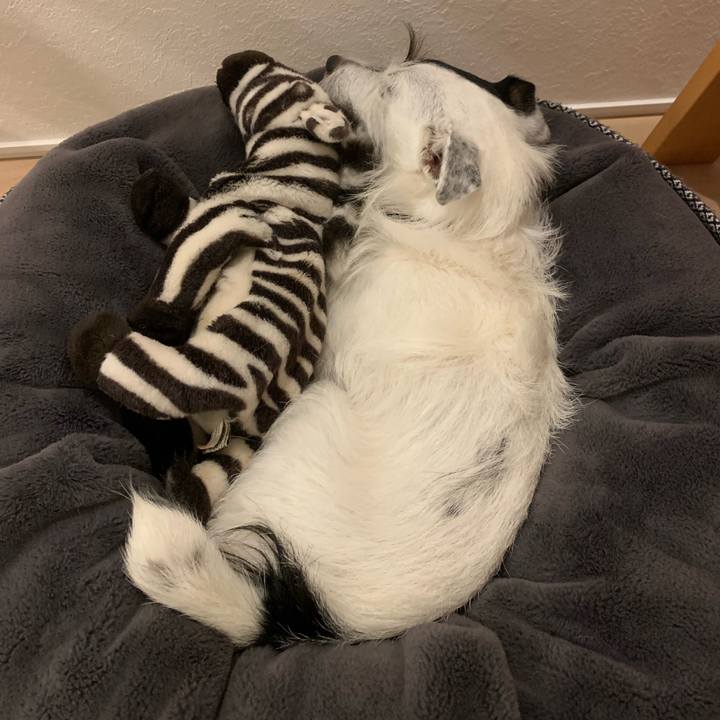 637a776c 90f1 4f85 bd26 6c9295e65765 1660733713343