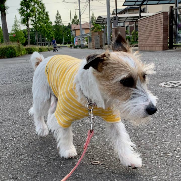 637a839e 4075 4d50 9d0e 3abbd876b831 1623595123324