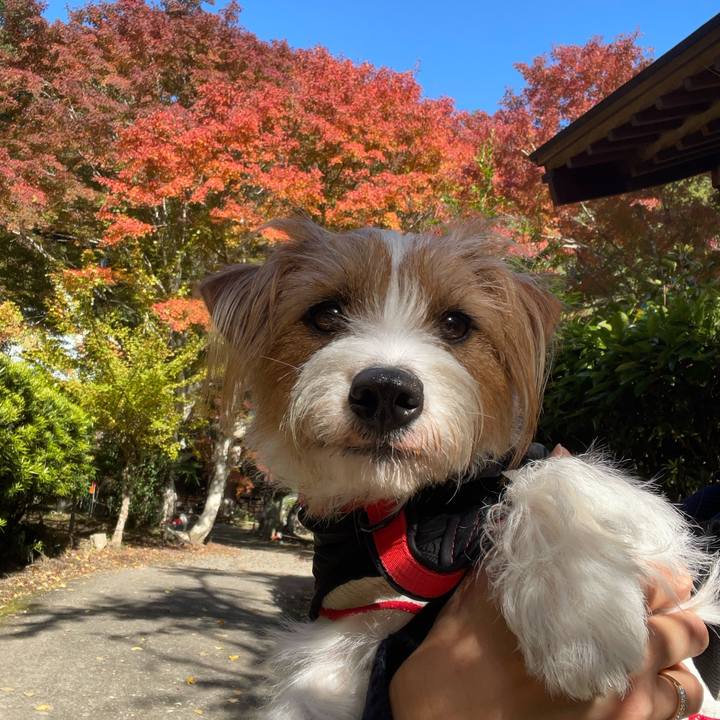 637ac90a ac2a 45c1 92fe 7f1385ef5300 1763728259067