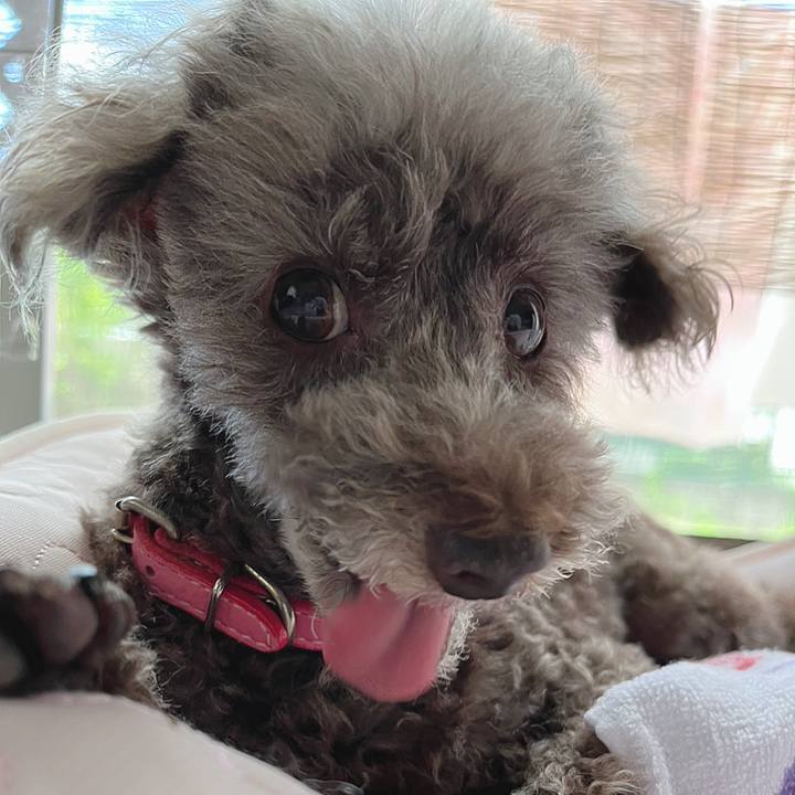 637aecb2 cd00 4ffd a5ed 80c83bf1c9e7 1659316347800