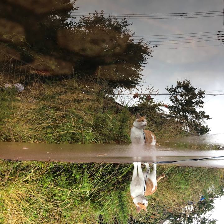 637b1ed2 dd83 407e 811e 94faca1bf56b 1562912767972