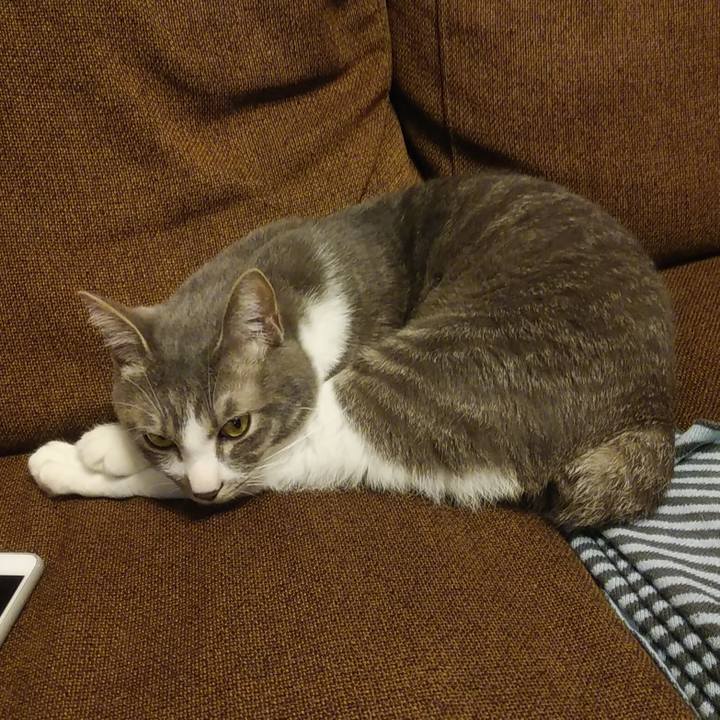 637b24a8 bb98 4c82 940d b047ed94d5ce 1589966978173