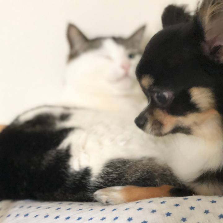 637b253a 2154 48ca 84d9 c0658ebf1f68 1527116809729