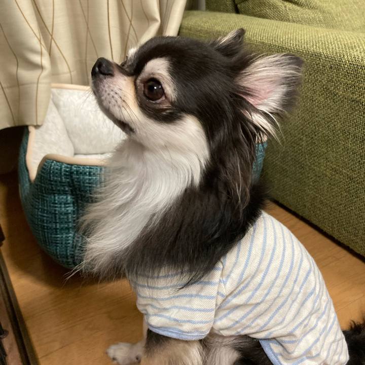 637b3e0a 29a4 43fb a2bc c6453700d52f 1665409885676