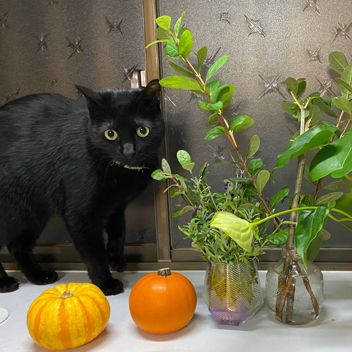 637b97e0 a920 42e6 87ee 680aea737afa 1668435062388