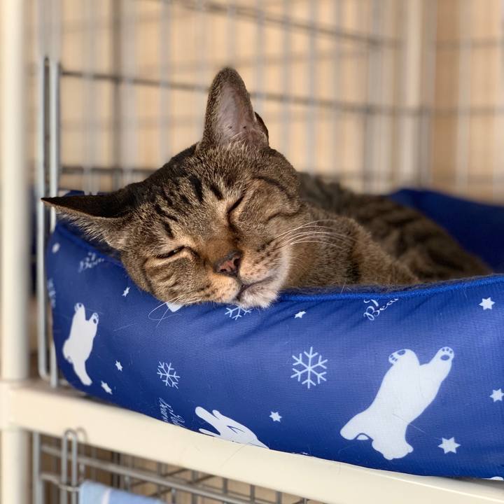 637bb537 5f91 433a 9e86 09d99e7c3261 1568510010710