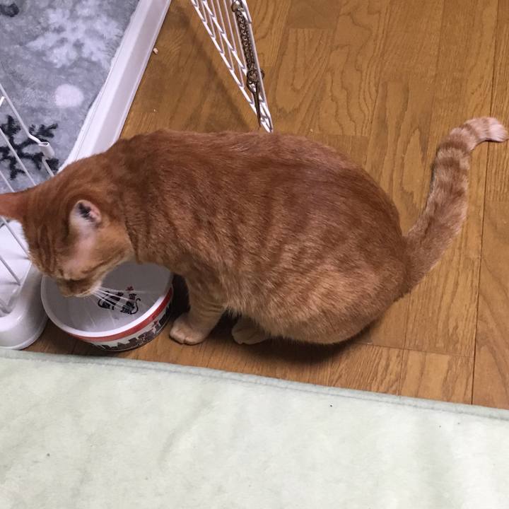 637bd51a 9f87 4531 8da8 e8ff046e13b0 1542715188212