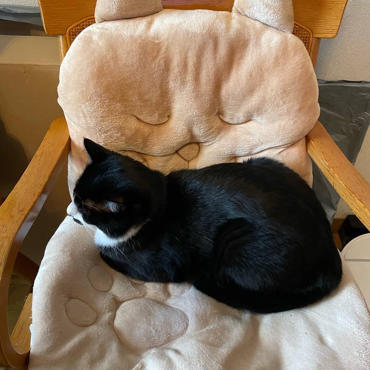 637bf1ea a1e8 4df6 bd57 1c93a7b7b5a5 1650630481891