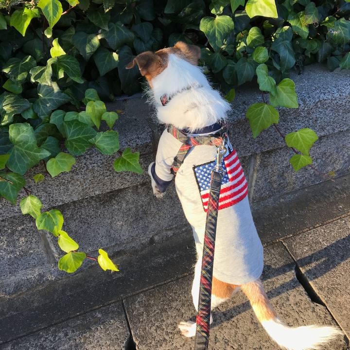 637bf94e 66a1 4805 a728 cc3d56b282a7 1573801826444