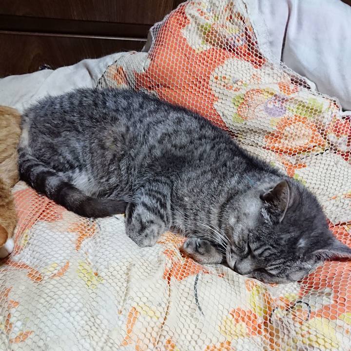 637c01bb 6f0b 4d7b bf82 0d6cf62bae97 1604058165661