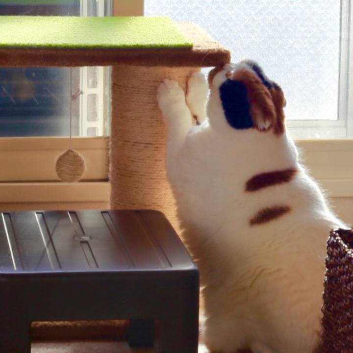 637c065f 1018 45d0 964d 47e65cf0f1fc 1580170991064