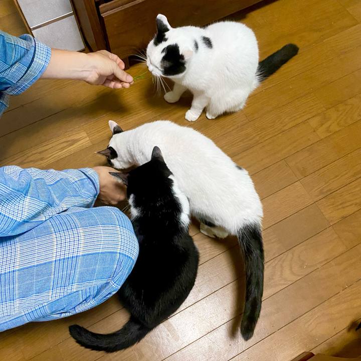 637c0898 7dc4 4a0d a948 b80618678548 1696809686095