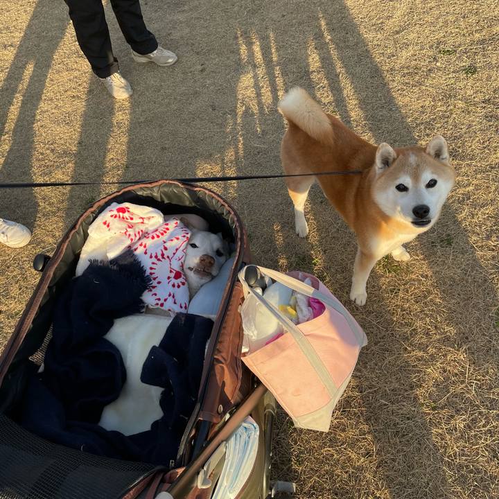 637c28ec c69b 4cb2 9afd 6de0b6b3c43b 1677752851764