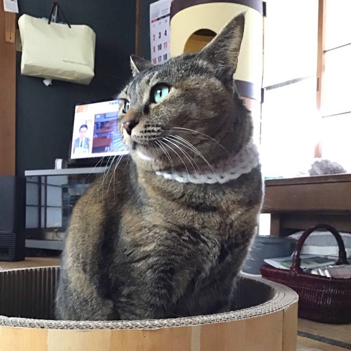 637c3548 96a0 4e6d b410 b737140d7e3a 1740370110882