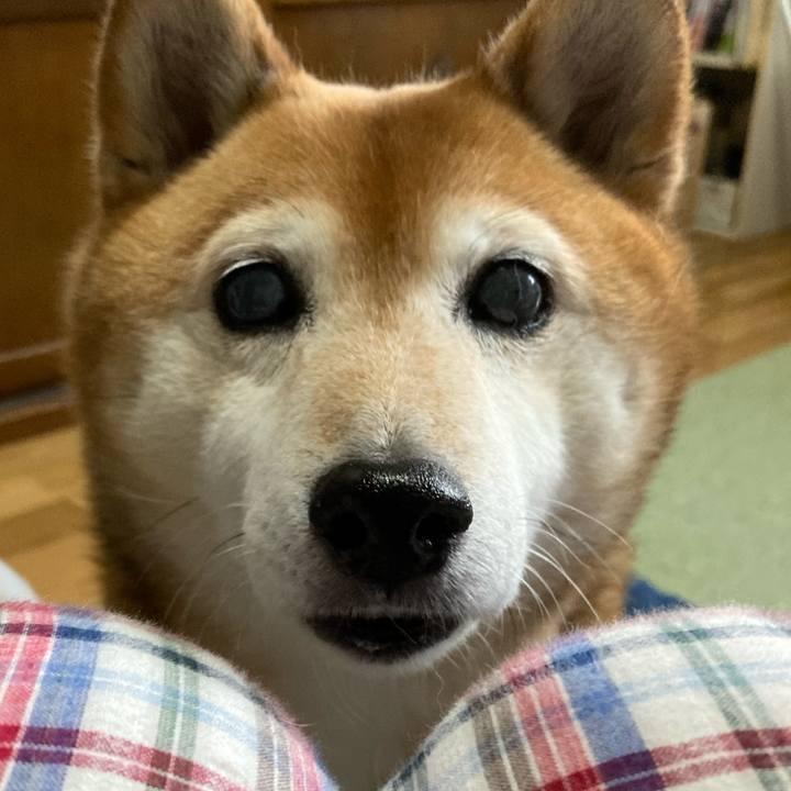 637ca52f 320c 4b5f b706 cace2c6bfec7 1685143343705