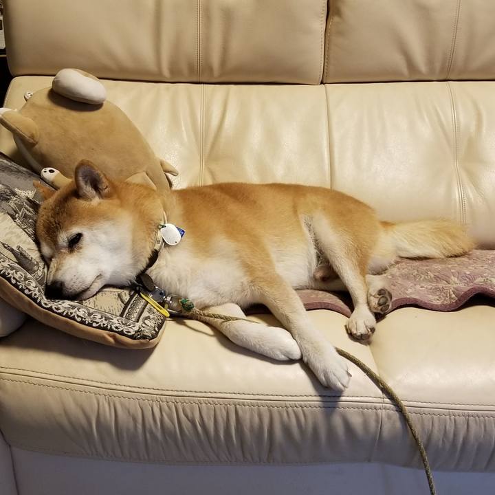 637cb3e5 2a96 42a4 8834 4e7aa152ecb1 1628920326685