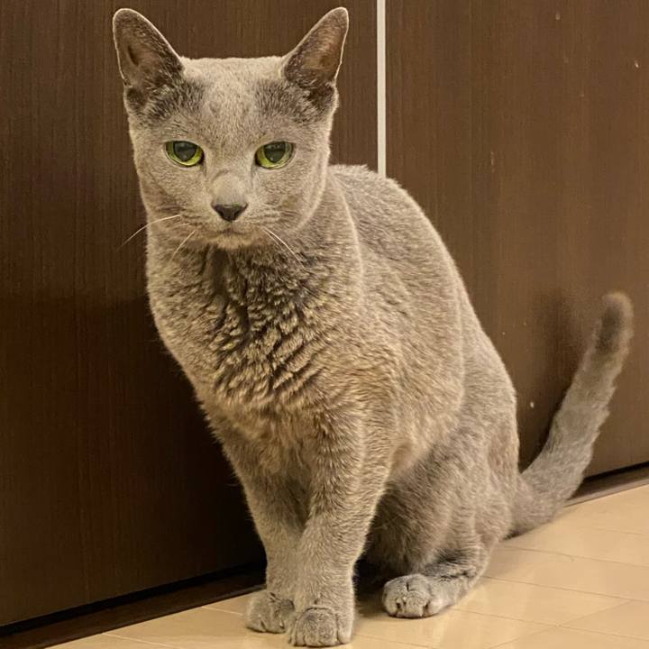 637ccc1f 1b80 416a abba 9af1ebadde09 1615378532805