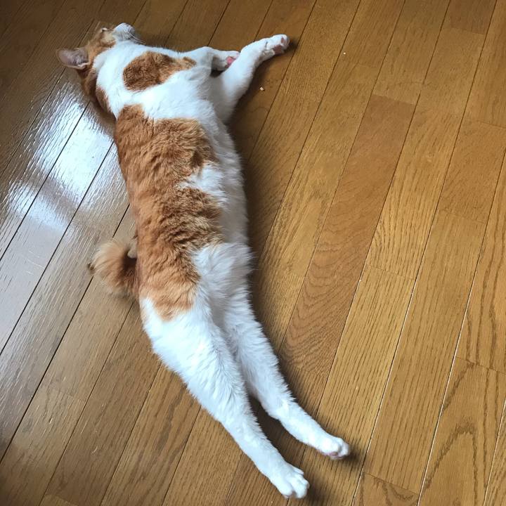 637ceb8e 5b15 43e4 a96a 12c2c5e23ea1 1551566110531