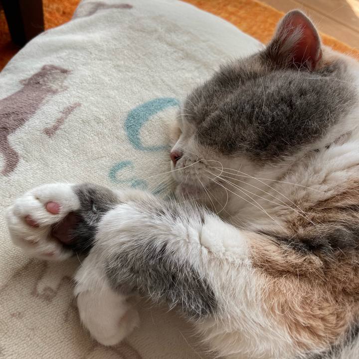 637cf289 e3a3 430e b489 f4ee30919dcf 1698221505610