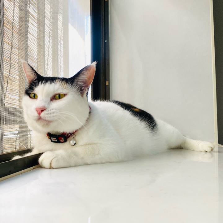 637cfcb8 276c 4997 908c 76a52575ec05 1663215796578