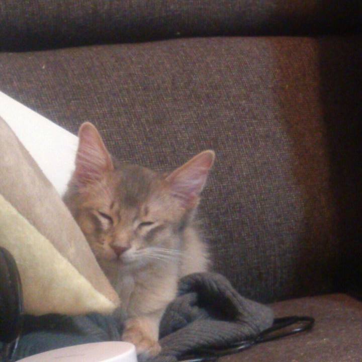 637d0194 7d12 4410 b409 8bb0b69a32fb 1517832067753