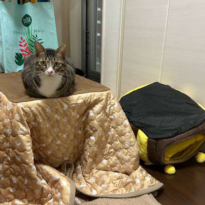 637d4f8b c8dc 4128 9b0f 75bc5d52c575 1771811464729