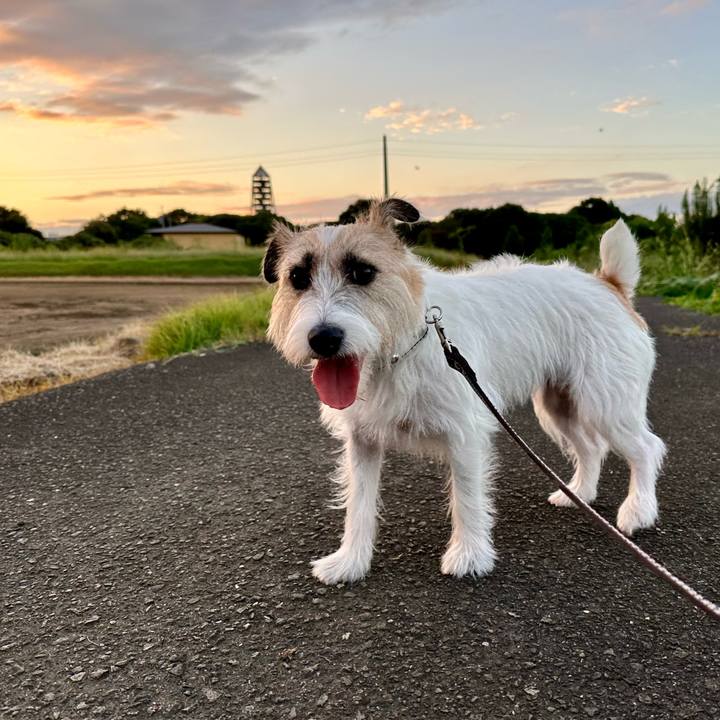 637d818d 3624 4bdc 91ed 8d13190cb535 1727351937491