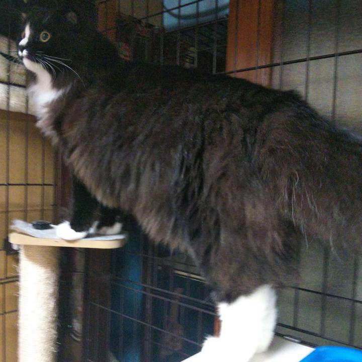 637db482 ff83 4c37 87e8 890c560e91a6 1655727183926