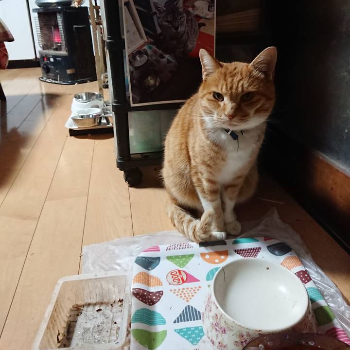 637dd23f d285 4632 8c0f 5092e075a29a 1606333992195