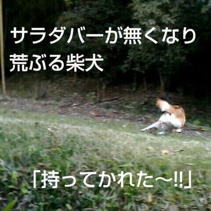 637df005 4825 4b44 a301 2451a07da3d8 1511235474696