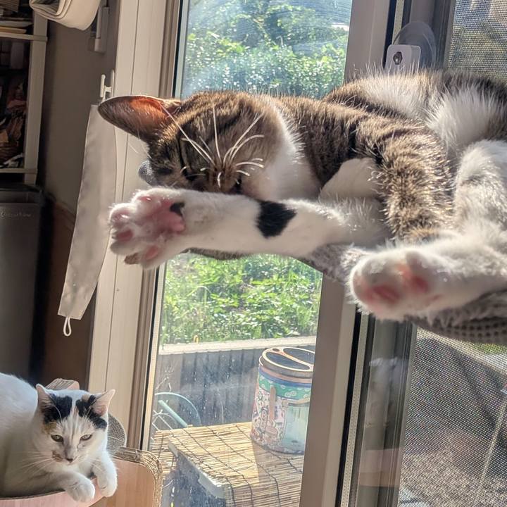 637e24ee 123e 4f80 a68c 5e681d132856 1755652149586