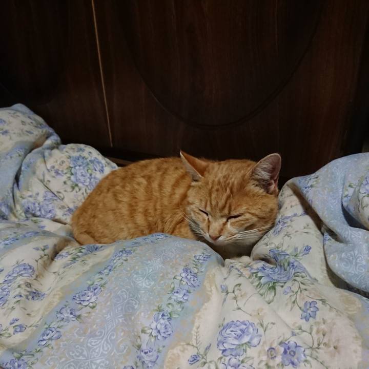 637e7272 b6a1 45c0 aef6 e76c258b0af6 1588334821402