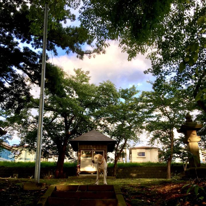 637e91fc c1e2 44b8 a2b0 336b9f900ef2 1565139143445