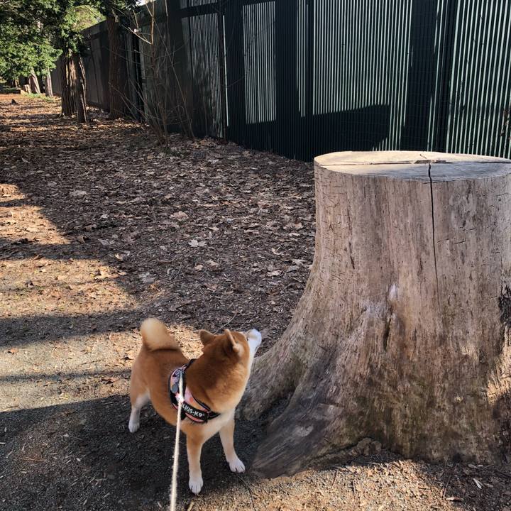 637e937b b9e3 4f90 8ff1 dd57e082d744 1524018830290