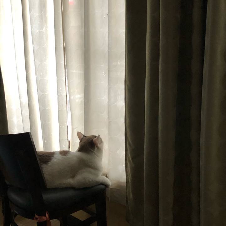 637ead68 f86d 4f74 959a 09898a8c6935 1629326471922