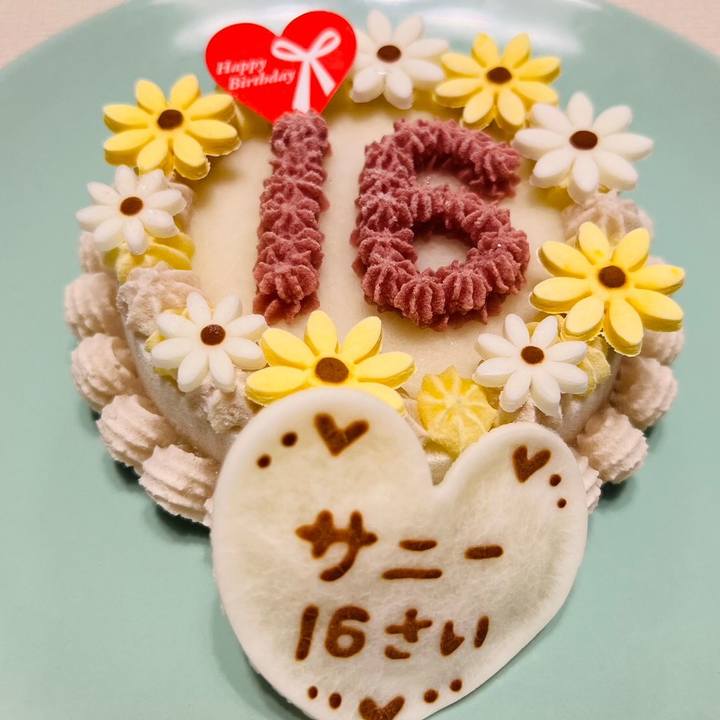 637ebb2e 1df4 4b39 97fc a5afc32dff00 1672475406097