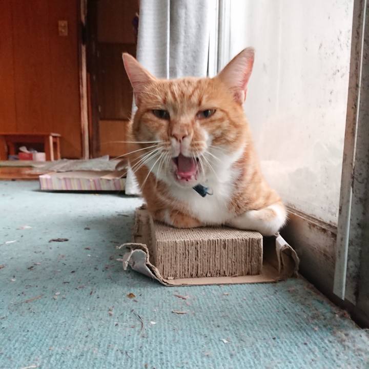 637edb70 afcf 44d5 a11d 03287ea4a3e9 1599900182551