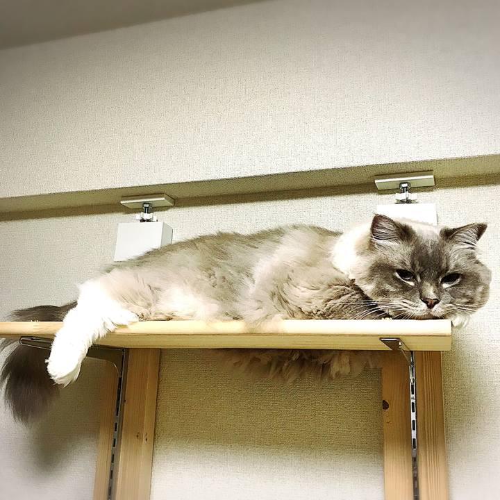 637ee88b e609 4700 9048 f2339e009ac2 1530524458802