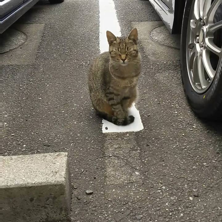 637ef4cf 9716 495c a6ff 5ba80b6442a7 1511934187261