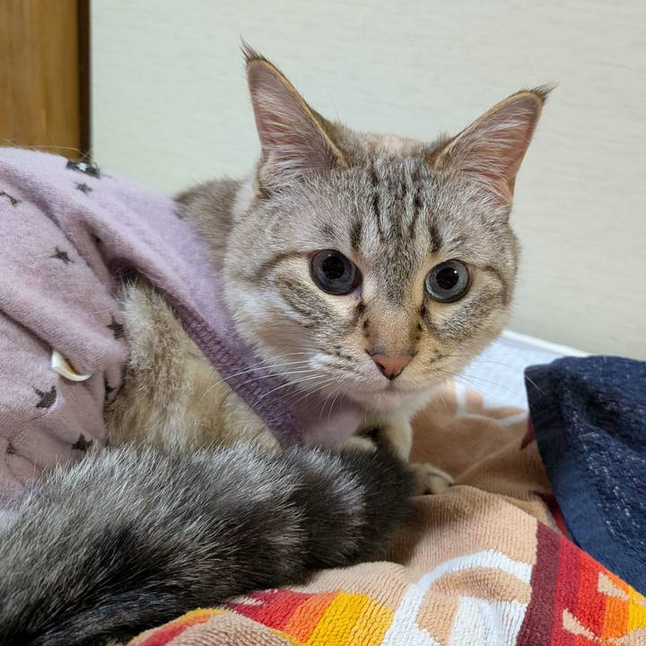 637ef5ee d8df 4696 8ceb 66608cf924f2 1751109603785