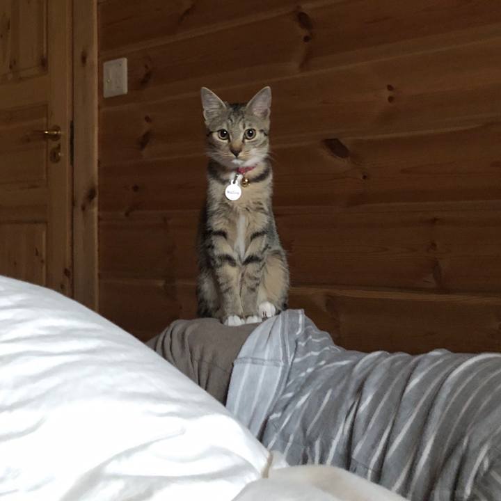 637efce8 e7df 40ea ad2b 4354144d01cb 1554585651953